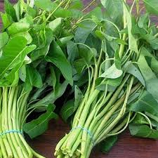 Kangkung