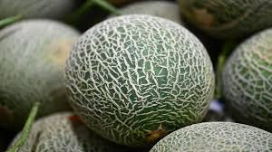 Melon