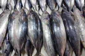 Tuna